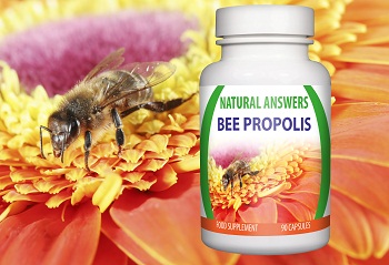Protect Against Cold & Flu this Winter with Bee Propolis